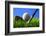 Golf.-Karam Miri Photography-Framed Photographic Print