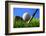 Golf.-Karam Miri Photography-Framed Photographic Print