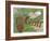 Golf-Karen Williams-Framed Giclee Print