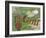 Golf-Karen Williams-Framed Giclee Print