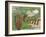 Golf-Karen Williams-Framed Giclee Print