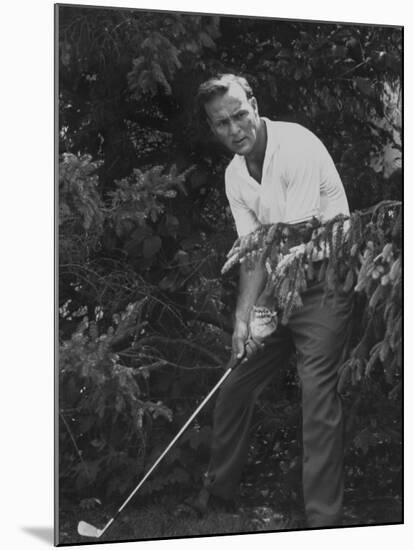 Golfer Arnold Palmer-John Dominis-Mounted Premium Photographic Print