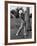 Golfer Ben Hogan, Demonstrating His Golf Drive-J^ R^ Eyerman-Framed Premium Photographic Print