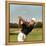 Golfer Ben Hogan-Yale Joel-Framed Premier Image Canvas