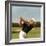 Golfer Ben Hogan-Yale Joel-Framed Premium Photographic Print