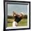 Golfer Ben Hogan-Yale Joel-Framed Premium Photographic Print