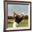 Golfer Ben Hogan-Yale Joel-Framed Premium Photographic Print