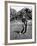 Golfer Claude Harmon Leading with Left Hip as He Hits Ball-J^ R^ Eyerman-Framed Premium Photographic Print