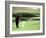 Golfer in Action-null-Framed Photographic Print