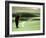 Golfer in Action-null-Framed Photographic Print