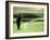 Golfer in Action-null-Framed Photographic Print