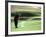 Golfer in Action-null-Framed Photographic Print