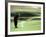 Golfer in Action-null-Framed Photographic Print