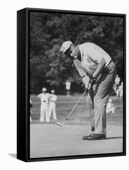 Golfer Jack Nicklaus Playing Golf-John Dominis-Framed Premier Image Canvas