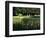 Golfers on the 17th Hole of the Eastmoreland Golf Course, Portland, Oregon, USA-Janis Miglavs-Framed Photographic Print