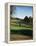 Golfers Playing on the Pinehurst No. 2 Championship Golf Course-null-Framed Premier Image Canvas