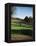 Golfers Playing on the Pinehurst No. 2 Championship Golf Course-null-Framed Premier Image Canvas