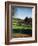 Golfers Playing on the Pinehurst No. 2 Championship Golf Course-null-Framed Photographic Print