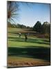 Golfers Playing on the Pinehurst No. 2 Championship Golf Course-null-Mounted Photographic Print