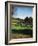 Golfers Playing on the Pinehurst No. 2 Championship Golf Course-null-Framed Photographic Print