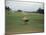 Golfers Sitting on Bench Near Practice Greens While Awaiting Tee Time on Pinehurst Golf Course-Walker Evans-Mounted Photographic Print