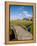 Golfing the Swilcan Bridge on the 18th Hole, St Andrews Golf Course, Scotland-Bill Bachmann-Framed Premier Image Canvas