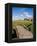 Golfing the Swilcan Bridge on the 18th Hole, St Andrews Golf Course, Scotland-Bill Bachmann-Framed Premier Image Canvas