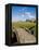 Golfing the Swilcan Bridge on the 18th Hole, St Andrews Golf Course, Scotland-Bill Bachmann-Framed Premier Image Canvas