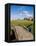 Golfing the Swilcan Bridge on the 18th Hole, St Andrews Golf Course, Scotland-Bill Bachmann-Framed Premier Image Canvas