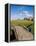 Golfing the Swilcan Bridge on the 18th Hole, St Andrews Golf Course, Scotland-Bill Bachmann-Framed Premier Image Canvas