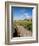 Golfing the Swilcan Bridge on the 18th Hole, St Andrews Golf Course, Scotland-Bill Bachmann-Framed Photographic Print