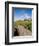 Golfing the Swilcan Bridge on the 18th Hole, St Andrews Golf Course, Scotland-Bill Bachmann-Framed Photographic Print