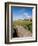 Golfing the Swilcan Bridge on the 18th Hole, St Andrews Golf Course, Scotland-Bill Bachmann-Framed Photographic Print