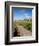 Golfing the Swilcan Bridge on the 18th Hole, St Andrews Golf Course, Scotland-Bill Bachmann-Framed Photographic Print