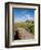 Golfing the Swilcan Bridge on the 18th Hole, St Andrews Golf Course, Scotland-Bill Bachmann-Framed Photographic Print