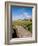 Golfing the Swilcan Bridge on the 18th Hole, St Andrews Golf Course, Scotland-Bill Bachmann-Framed Photographic Print