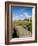 Golfing the Swilcan Bridge on the 18th Hole, St Andrews Golf Course, Scotland-Bill Bachmann-Framed Photographic Print