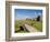 Golfing the Swilcan Bridge on the 18th Hole, St Andrews Golf Course, Scotland-Bill Bachmann-Framed Photographic Print