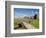 Golfing the Swilcan Bridge on the 18th Hole, St Andrews Golf Course, Scotland-Bill Bachmann-Framed Photographic Print