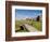 Golfing the Swilcan Bridge on the 18th Hole, St Andrews Golf Course, Scotland-Bill Bachmann-Framed Photographic Print