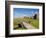 Golfing the Swilcan Bridge on the 18th Hole, St Andrews Golf Course, Scotland-Bill Bachmann-Framed Photographic Print