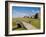 Golfing the Swilcan Bridge on the 18th Hole, St Andrews Golf Course, Scotland-Bill Bachmann-Framed Photographic Print