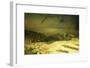 Golgotha (It Is Finished)-Jean Leon Gerome-Framed Giclee Print