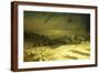 Golgotha (It Is Finished)-Jean Leon Gerome-Framed Giclee Print