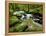 Golitha Falls, Bodmin, Cornwall, UK-Ross Hoddinott-Framed Premier Image Canvas