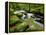 Golitha Falls, Bodmin, Cornwall, UK-Ross Hoddinott-Framed Premier Image Canvas