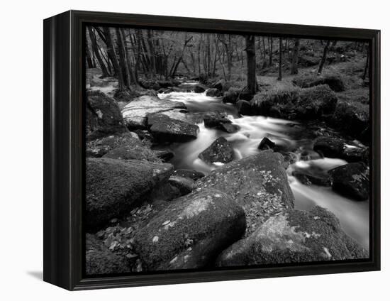 Golitha Falls, Bodmin, Cornwall, UK-Ross Hoddinott-Framed Premier Image Canvas