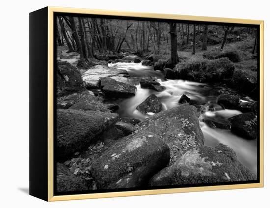 Golitha Falls, Bodmin, Cornwall, UK-Ross Hoddinott-Framed Premier Image Canvas