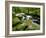 Golitha Falls, Bodmin, Cornwall, UK-Ross Hoddinott-Framed Photographic Print