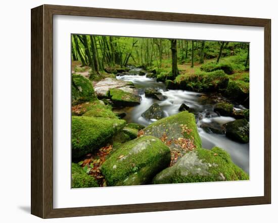 Golitha Falls, Bodmin, Cornwall, UK-Ross Hoddinott-Framed Photographic Print